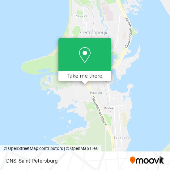 DNS map