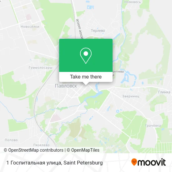 1 Госпитальная улица map