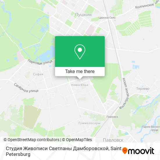 Студия Живописи Светланы Дамборовской map