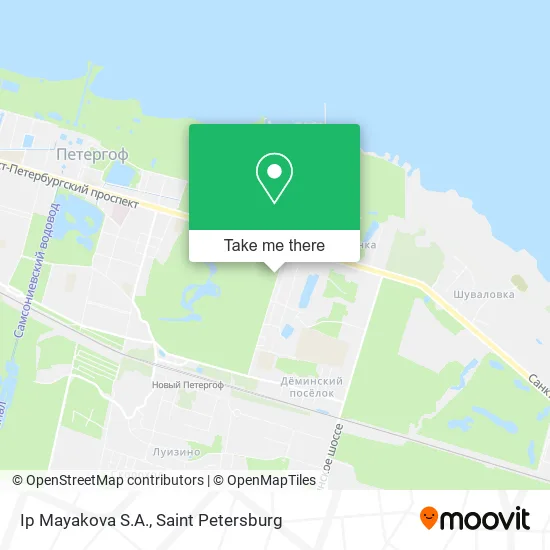 Ip Mayakova S.A. map