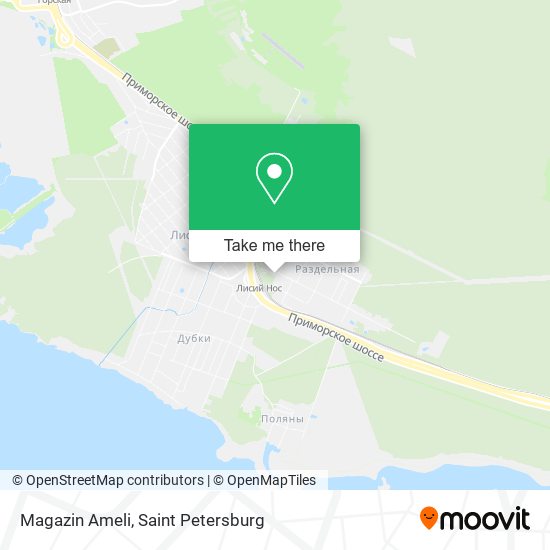 Magazin Ameli map