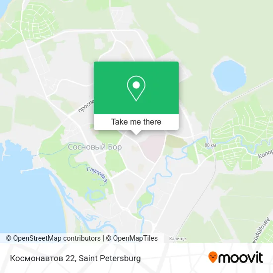 Космонавтов 22 map