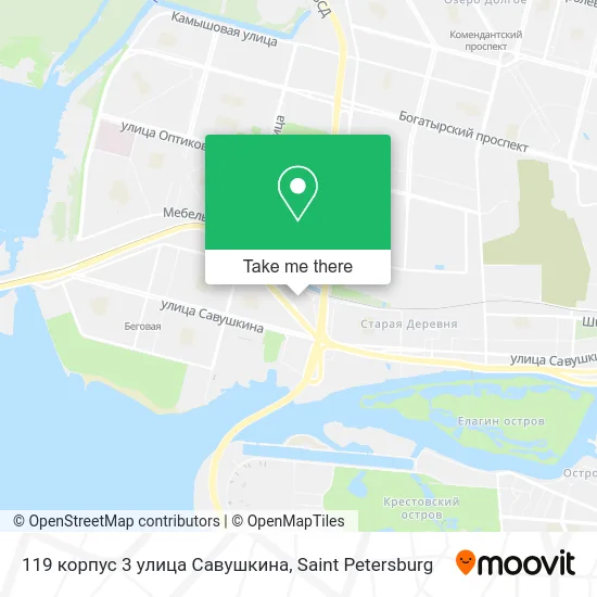 119 корпус 3 улица Савушкина map