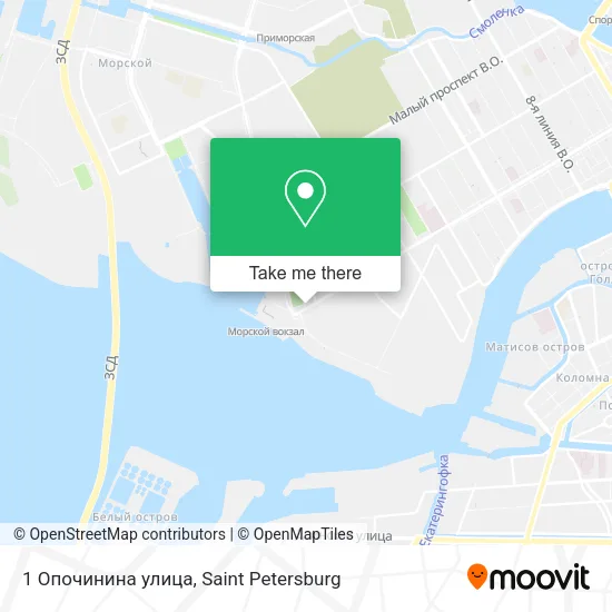 1 Опочинина улица map