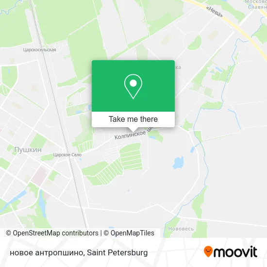 новое антропшино map