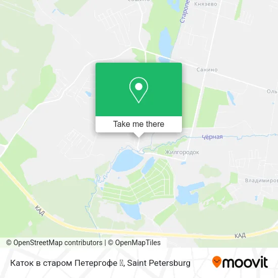 Каток в старом Петергофе ❄ map