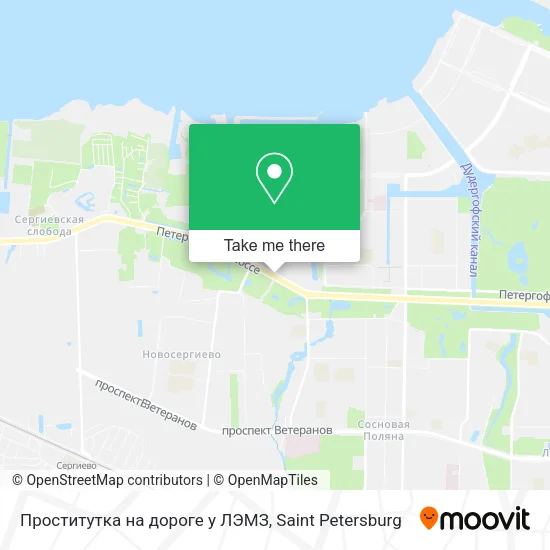 Проститутка на дороге у ЛЭМЗ map