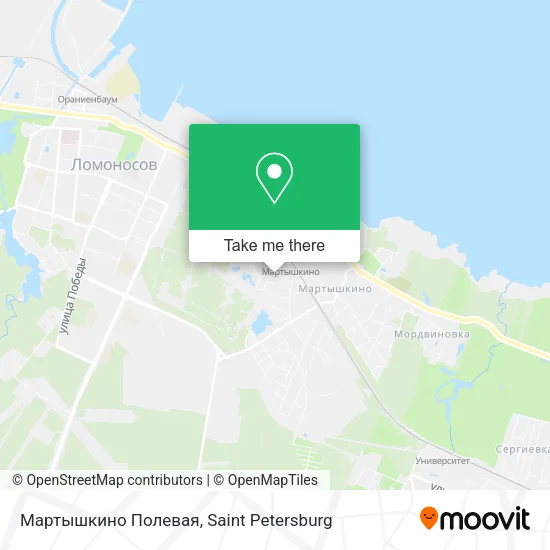 Мартышкино Полевая map