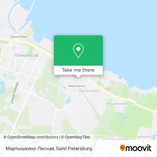 Мартышкино Лесная map