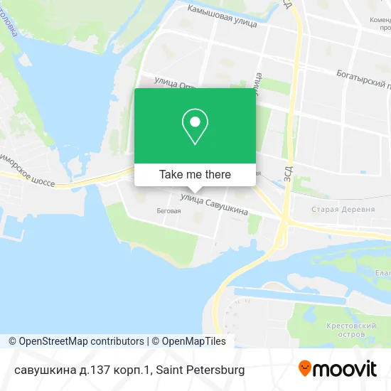 савушкина д.137 корп.1 map