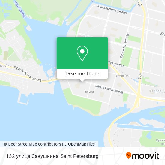 132 улица Савушкина map