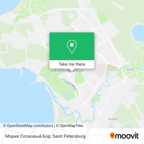 Мэрия Сосновый Бор map