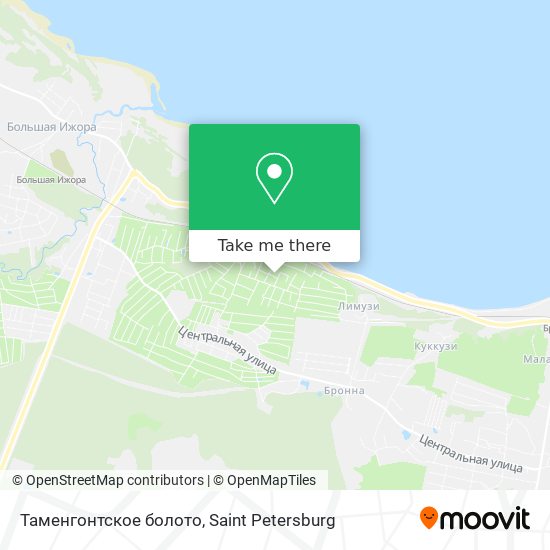 Таменгонтское болото map