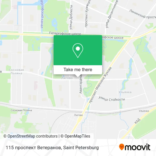 115 проспект Ветеранов map
