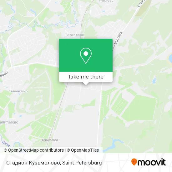Стадион Кузьмолово map