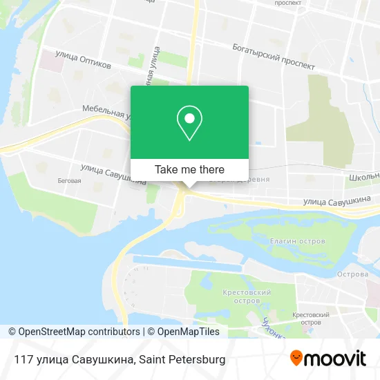 117 улица Савушкина map