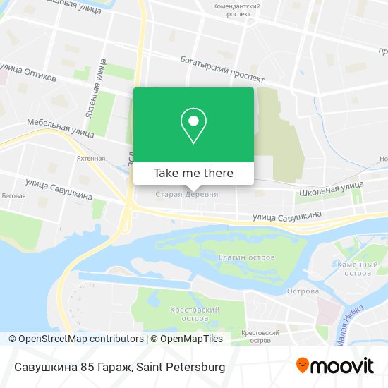 Савушкина 85 Гараж map