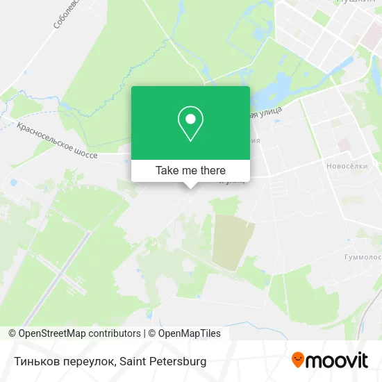 Тиньков переулок map