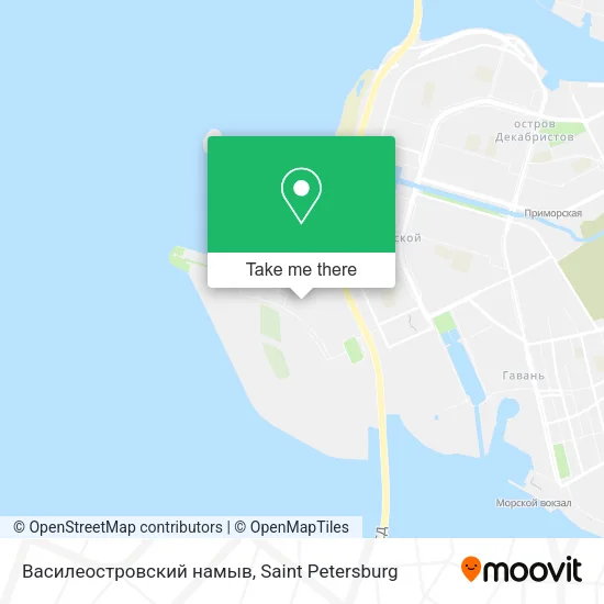 Василеостровский намыв map