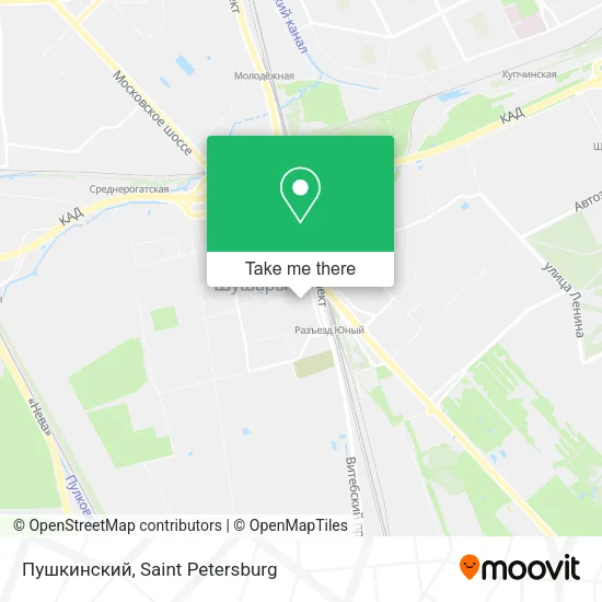 Пушкинский map