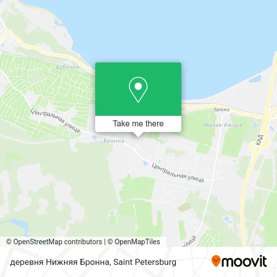 деревня Нижняя Бронна map