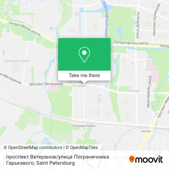 проспект Ветеранов / улица Пограничника Гарькавого map