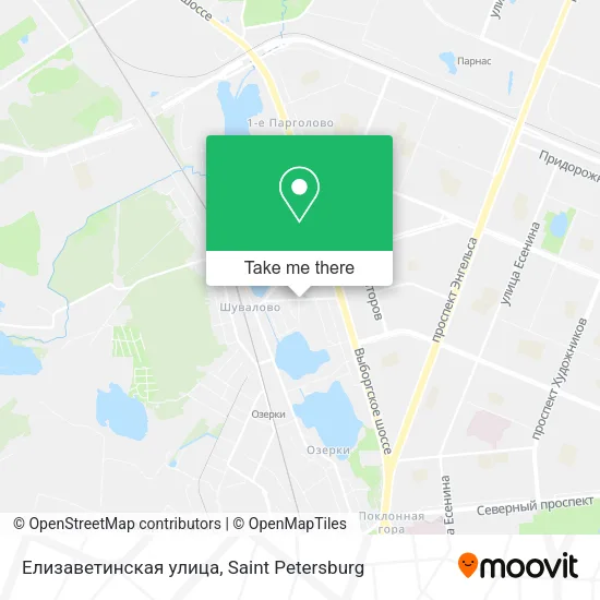 Елизаветинская улица map