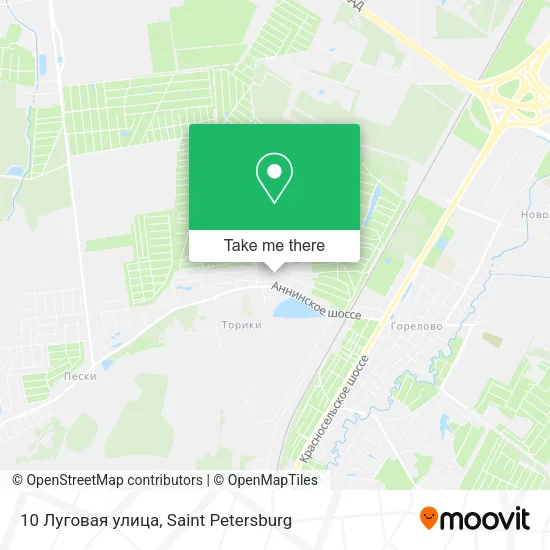 10 Луговая улица map