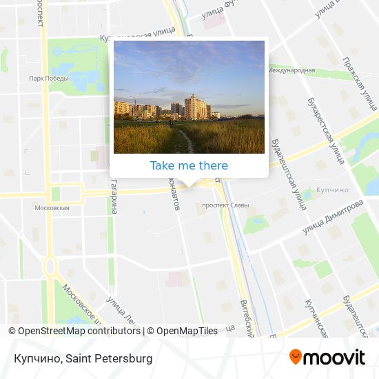 Купчино map