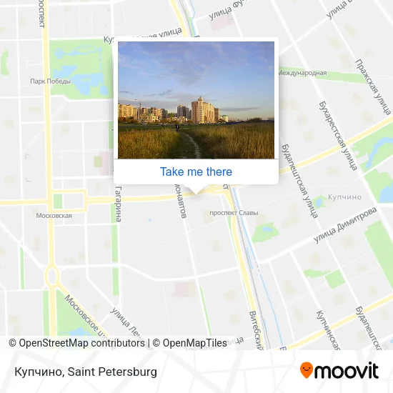 Купчино map