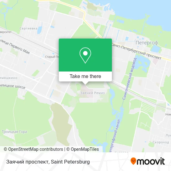 Заячий проспект map
