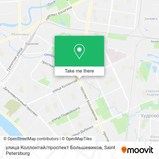 улица Коллонтай / проспект Большевиков map
