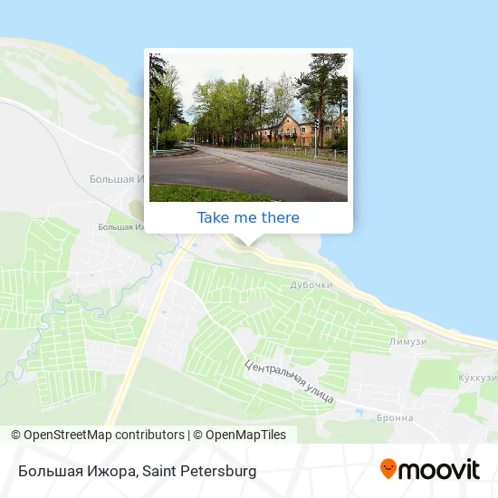 Большая Ижора map