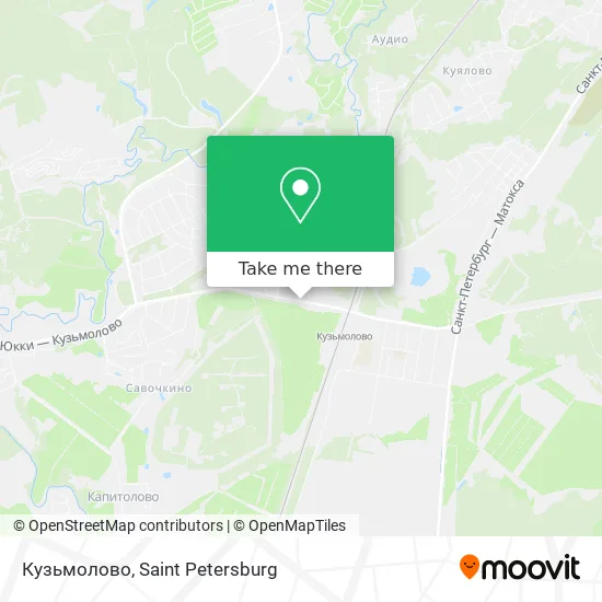 Кузьмолово map