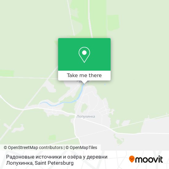 Радоновые источники и озёра у деревни Лопухинка map