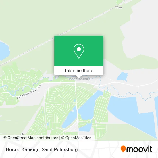 Новое Калище map