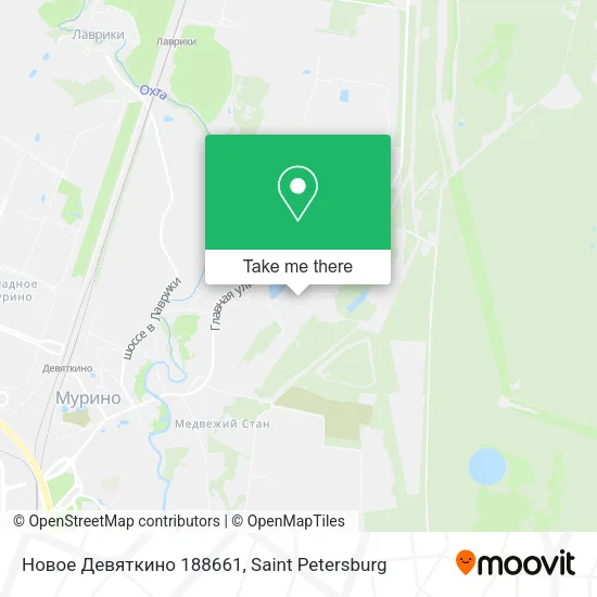 Новое Девяткино 188661 map
