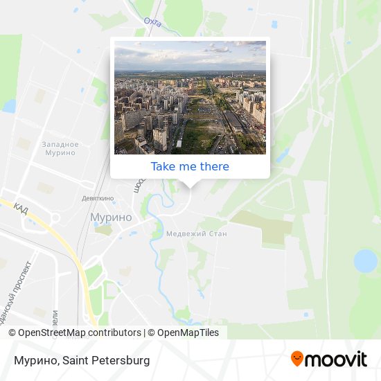 Мурино map
