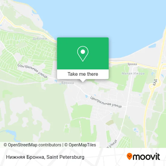 Нижняя Бронна map