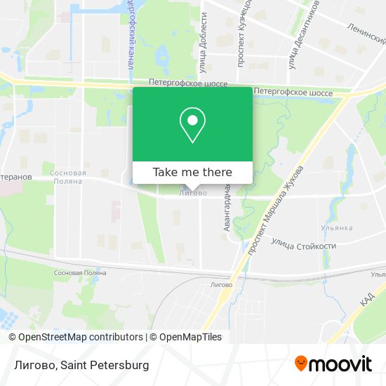 Лигово map