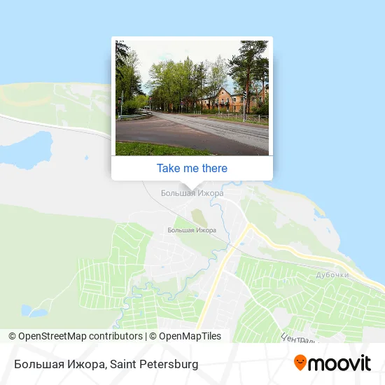 Большая Ижора map