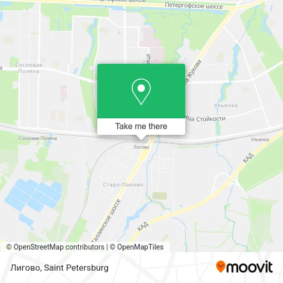 Лигово map