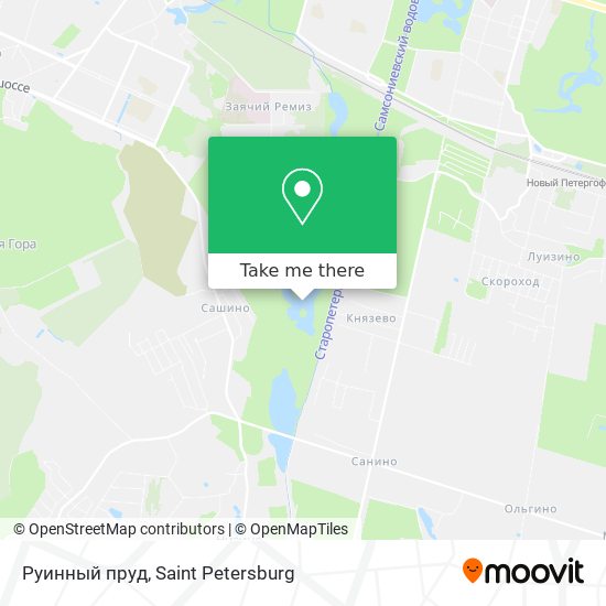 Руинный пруд map