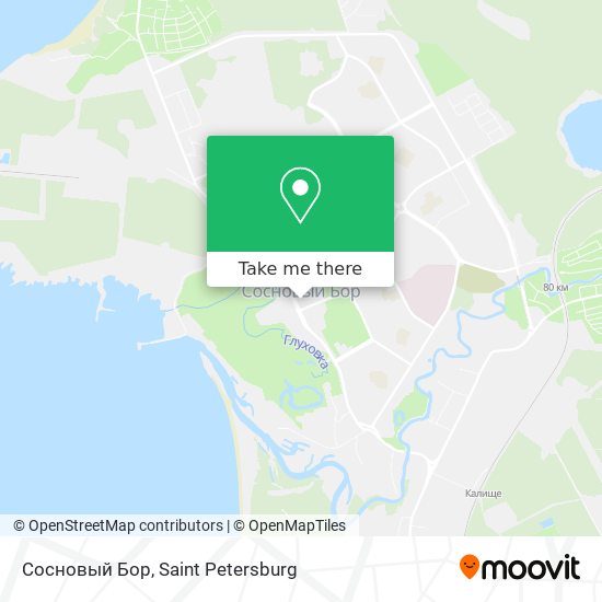 Сосновый Бор map