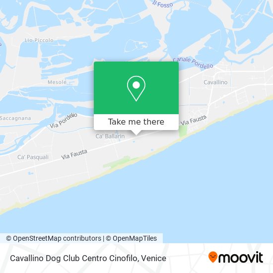 Cavallino Dog Club Centro Cinofilo map