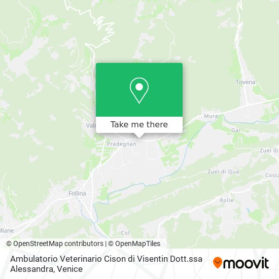 Ambulatorio Veterinario Cison di Visentin Dott.ssa Alessandra map