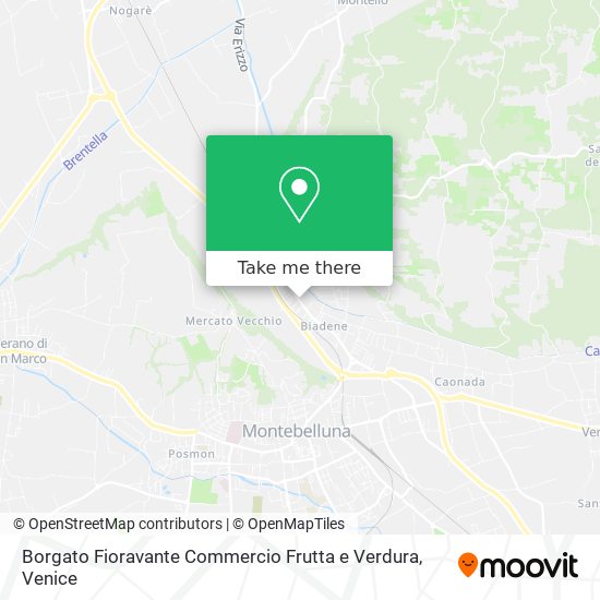 Borgato Fioravante Commercio Frutta e Verdura map