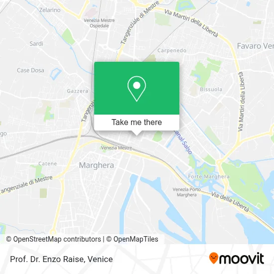 Prof. Dr. Enzo Raise map