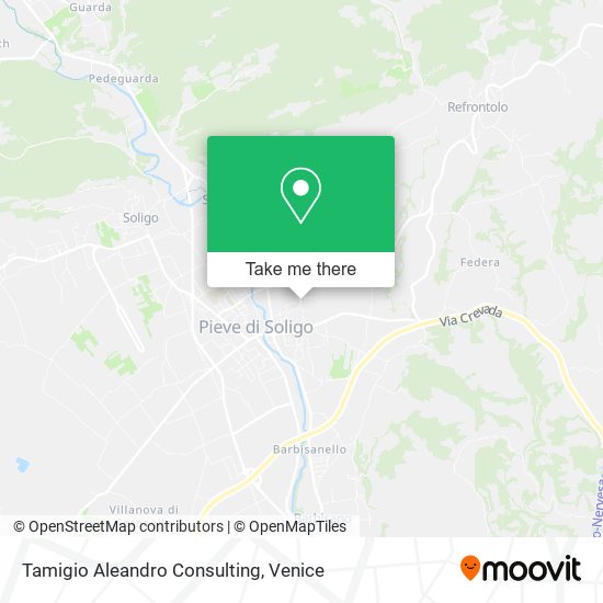 Tamigio Aleandro Consulting map
