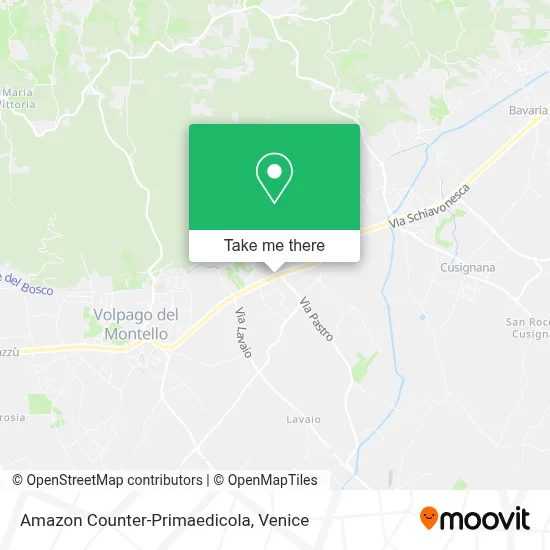 Amazon Counter-Primaedicola map